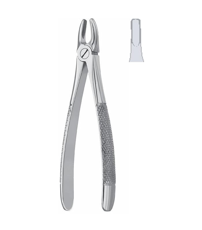 Extracting Forcep English Pattern